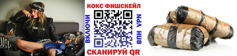 Купить закладки  Куйбышев  COCAIN Эквадор 